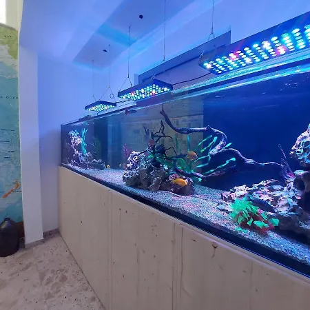 ベッド・アンド・ブレックファスト Laudach